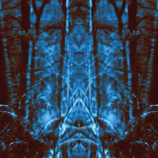 You, Disappearing audio-visual work still